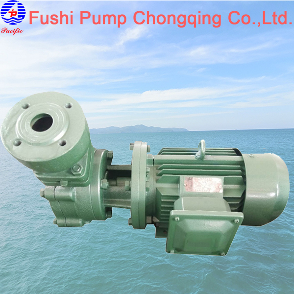 1WZ Marine Domestic Water Pump.jpg